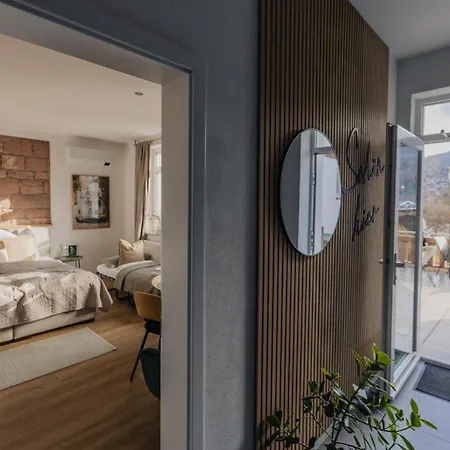 Mainterrasse Boardinghouse Am Fluss Klimatisierte Mit 80qm Terrasse * Miltenberg