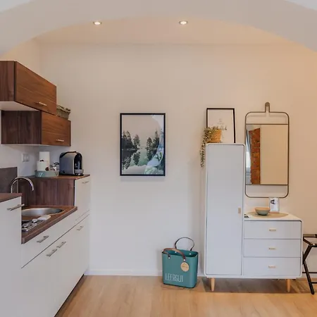 Mainterrasse Boardinghouse Am Fluss Klimatisierte Mit 80qm Terrasse Apartment