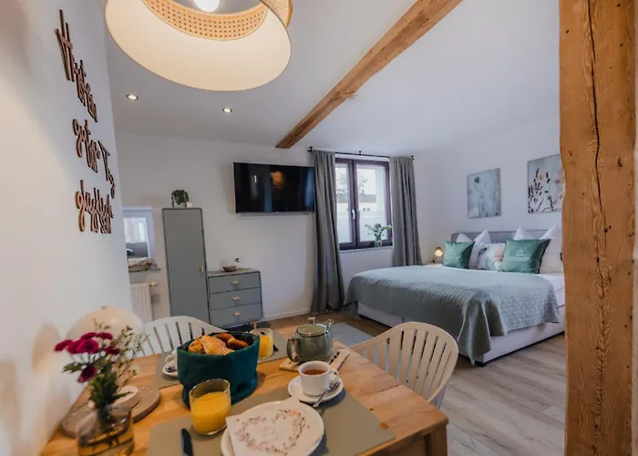 Mainterrasse Boardinghouse Am Fluss Klimatisierte Mit 80qm Terrasse