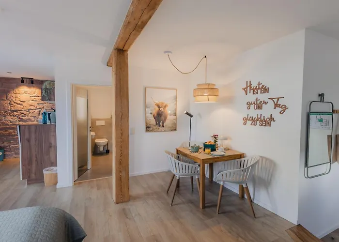 Mainterrasse Boardinghouse Am Fluss Klimatisierte Mit 80qm Terrasse * Miltenberg
