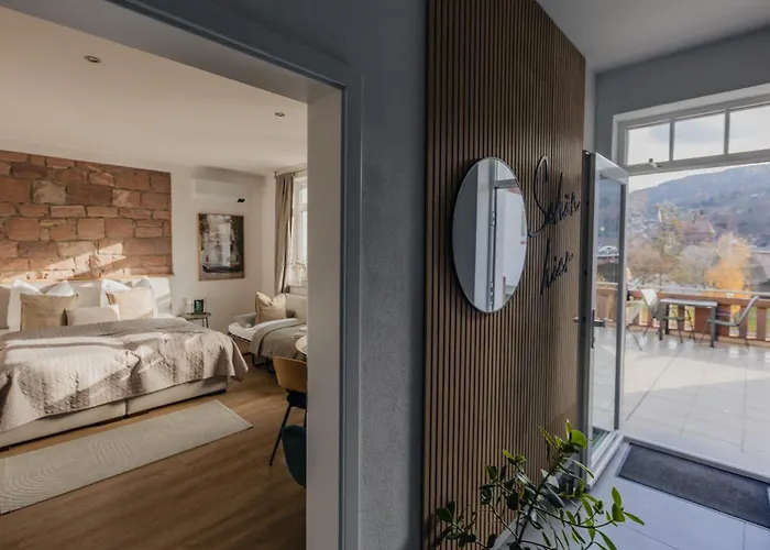 Mainterrasse Boardinghouse Am Fluss Klimatisierte Mit 80qm Terrasse * Miltenberg