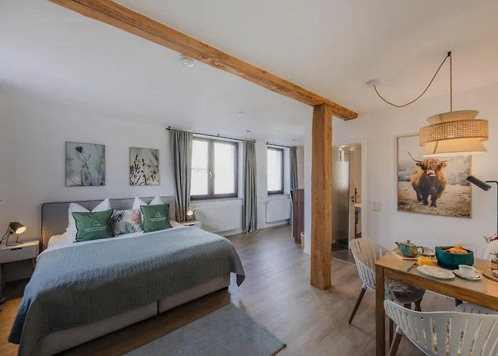 Διαμέρισμα Mainterrasse Boardinghouse Am Fluss Klimatisierte Mit 80qm Terrasse Miltenberg