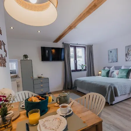 Mainterrasse Boardinghouse Am Fluss Klimatisierte Mit 80qm Terrasse