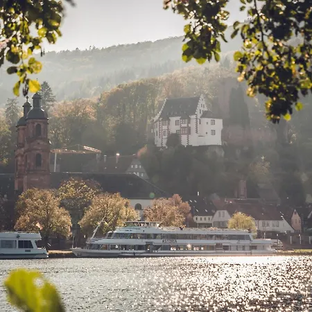 Mainterrasse Boardinghouse Am Fluss Klimatisierte Mit 80qm Terrasse