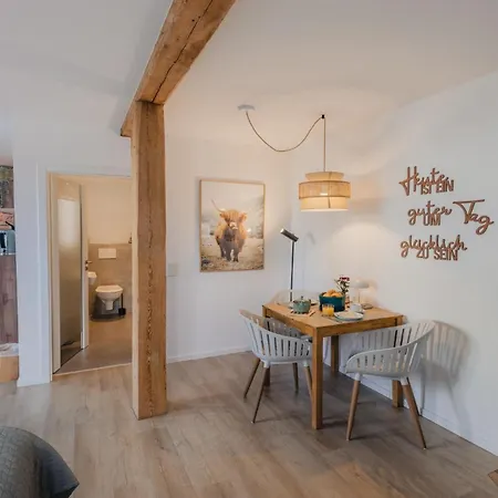 Mainterrasse Boardinghouse Am Fluss Klimatisierte Mit 80qm Terrasse * Miltenberg