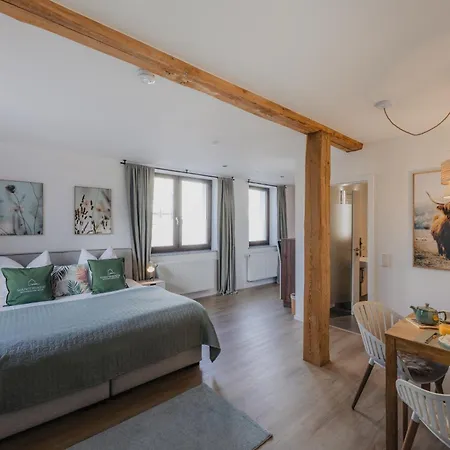Apartment Mainterrasse Boardinghouse Am Fluss Klimatisierte Mit 80qm Terrasse Miltenberg