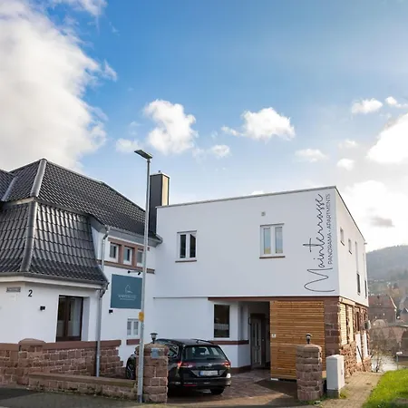 Mainterrasse Boardinghouse Am Fluss Klimatisierte Mit 80qm Terrasse Appartement