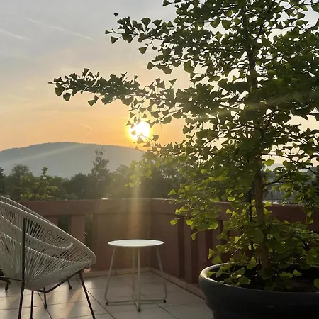 Appartement Mainterrasse Boardinghouse Am Fluss Klimatisierte Mit 80qm Terrasse Miltenberg