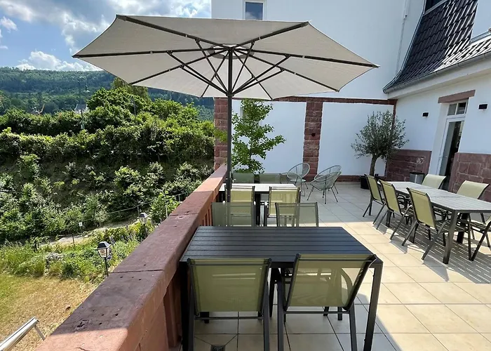 Apartament Mainterrasse Boardinghouse Am Fluss Klimatisierte Mit 80qm Terrasse