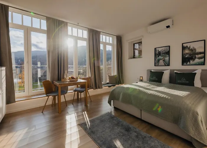 Mainterrasse Boardinghouse Am Fluss Klimatisierte Mit 80qm Terrasse * Miltenberg