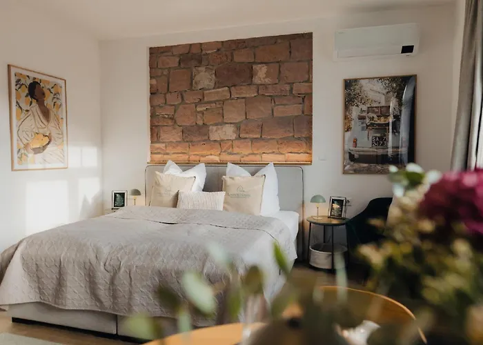 Mainterrasse Boardinghouse Am Fluss Klimatisierte Mit 80qm Terrasse Apartment Miltenberg