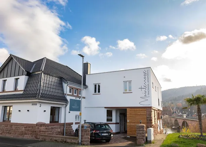 Mainterrasse Boardinghouse Am Fluss Klimatisierte Mit 80qm Terrasse Apartament