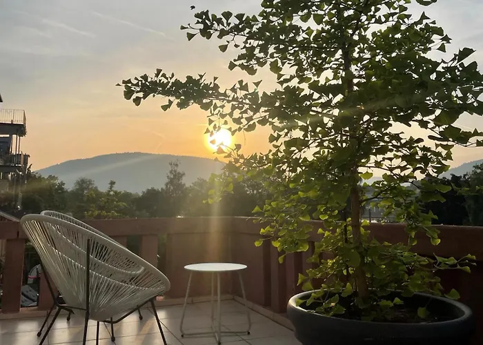 Apartament Mainterrasse Boardinghouse Am Fluss Klimatisierte Mit 80qm Terrasse Miltenberg